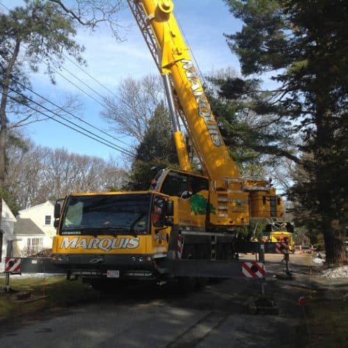Trusted Tree Service Removal | Marquis Tree Service MA