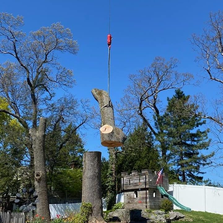 Crane Assisted Tree Removal Services | Marquis Tree Service MA