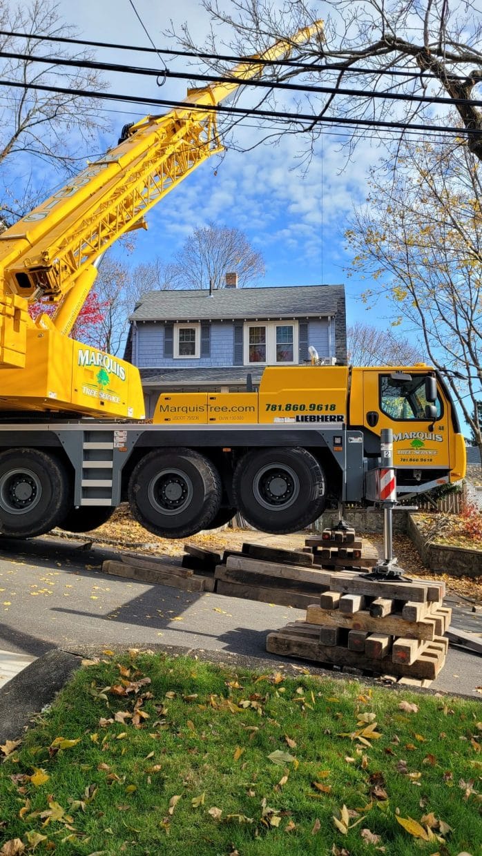 Tree Removal Crane Assisted | Marquis Tree Service MA