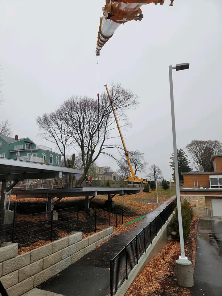 Local Crane Assisted Tree Removal | Marquis Tree Service MA