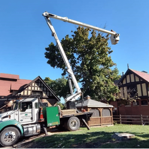 Tree Removal Georgetown, MA
