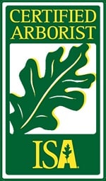 Certified Arborist Tewksbury, MA