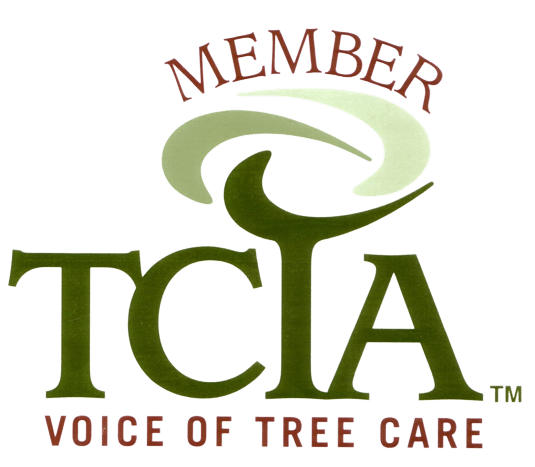TCIA Member Acton, MA