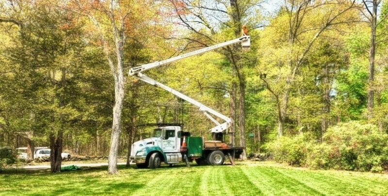 Tree Pruning