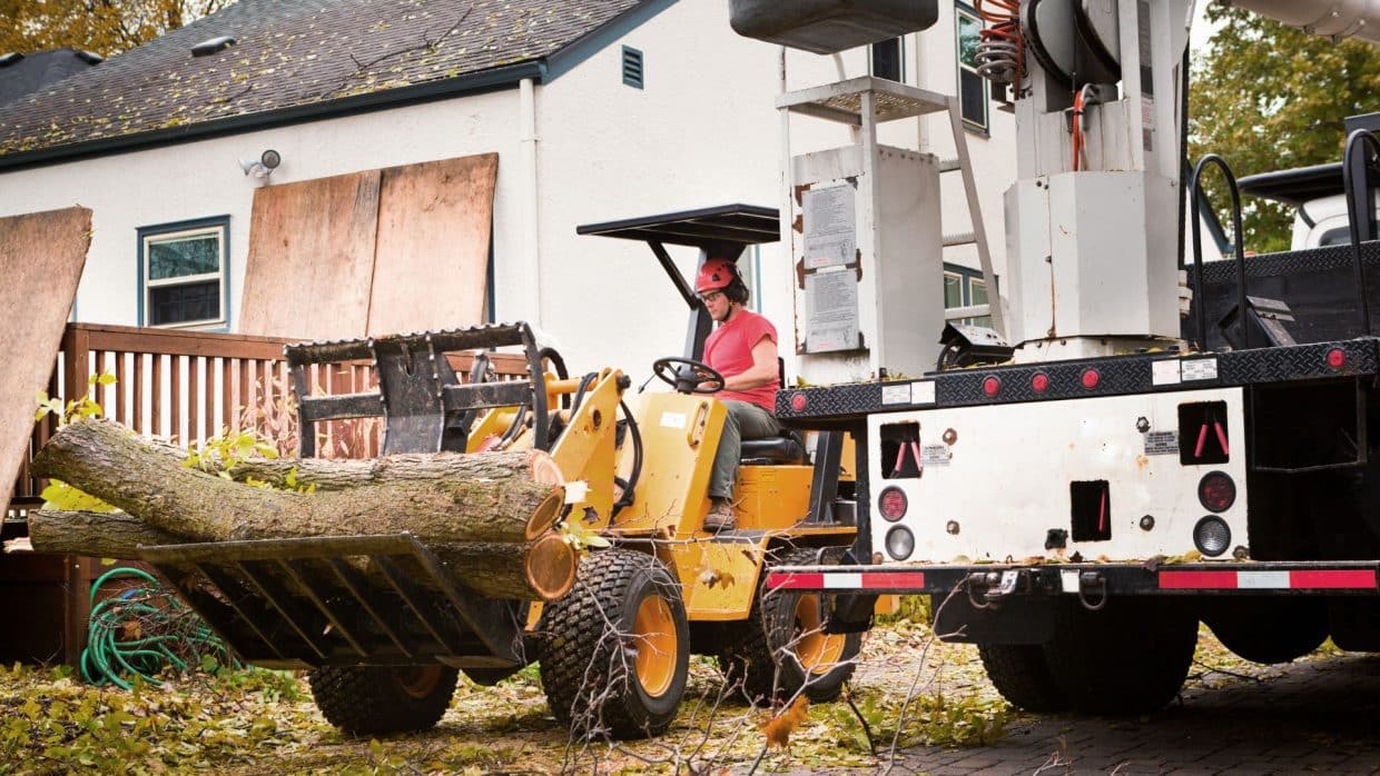 Marquis Tree Service - Emergency Tree Removal