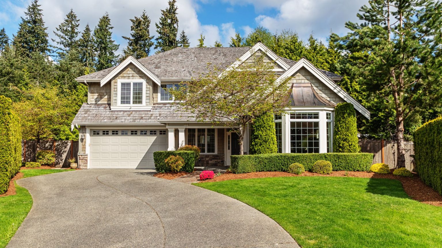 How Trees Improve Property Value | Marquis Tree Service