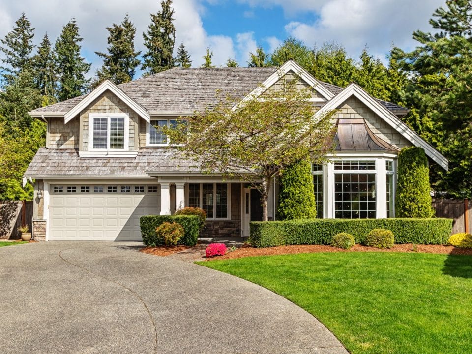 Marquis Tree Service - Trees Improve Property Value 1
