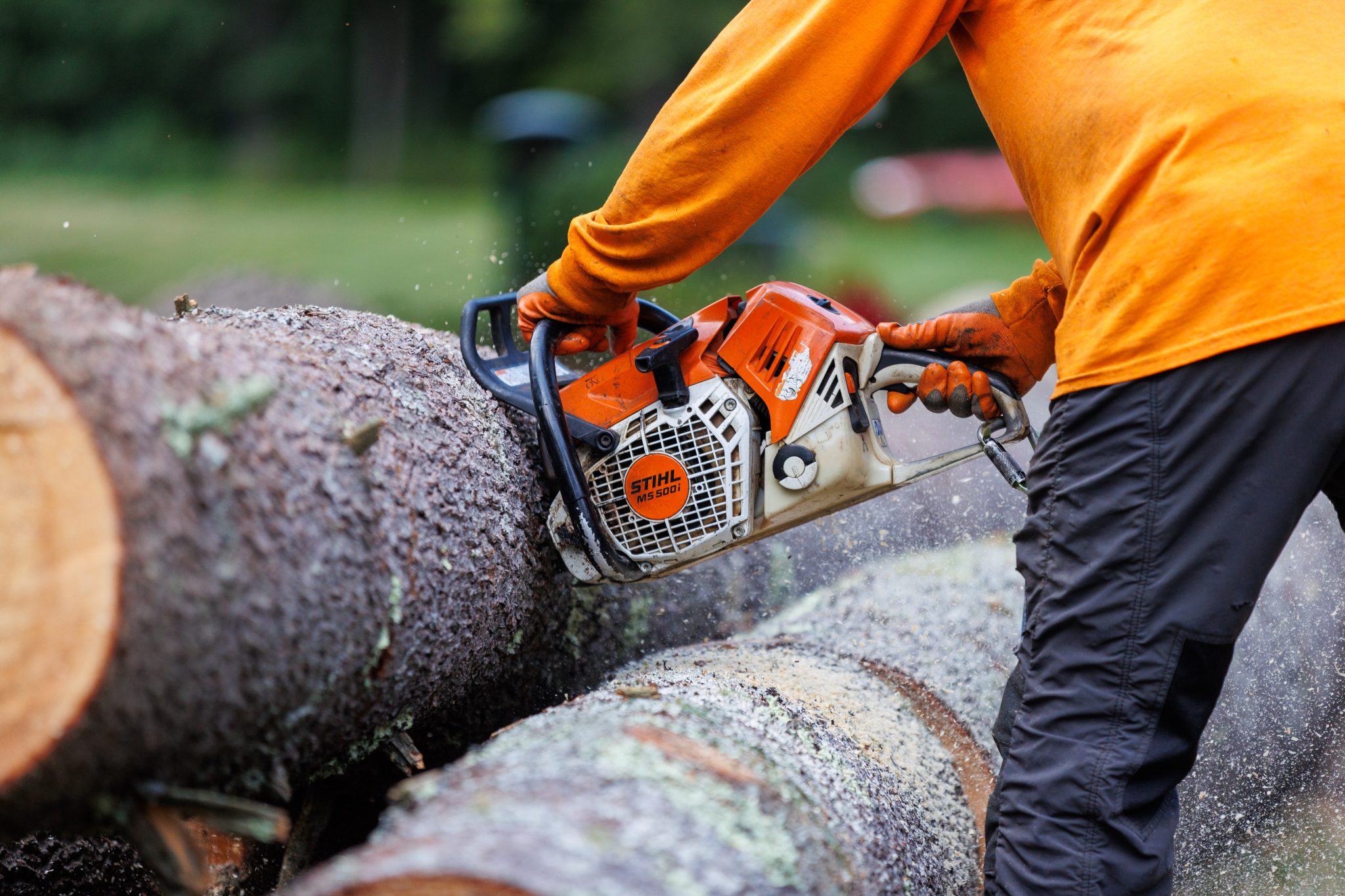 Land Clearing Services in Burlington | Marquis Tree Service