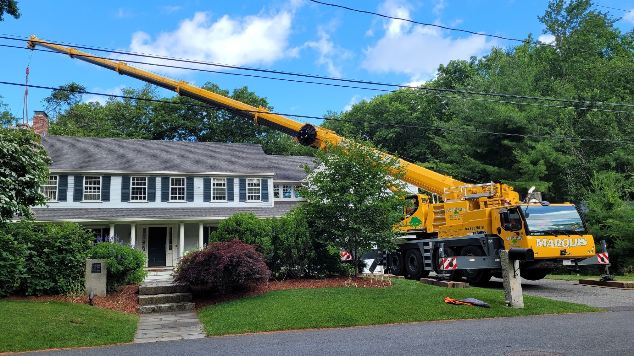 Tree Pruning Services in 02476 | Marquis Tree Service