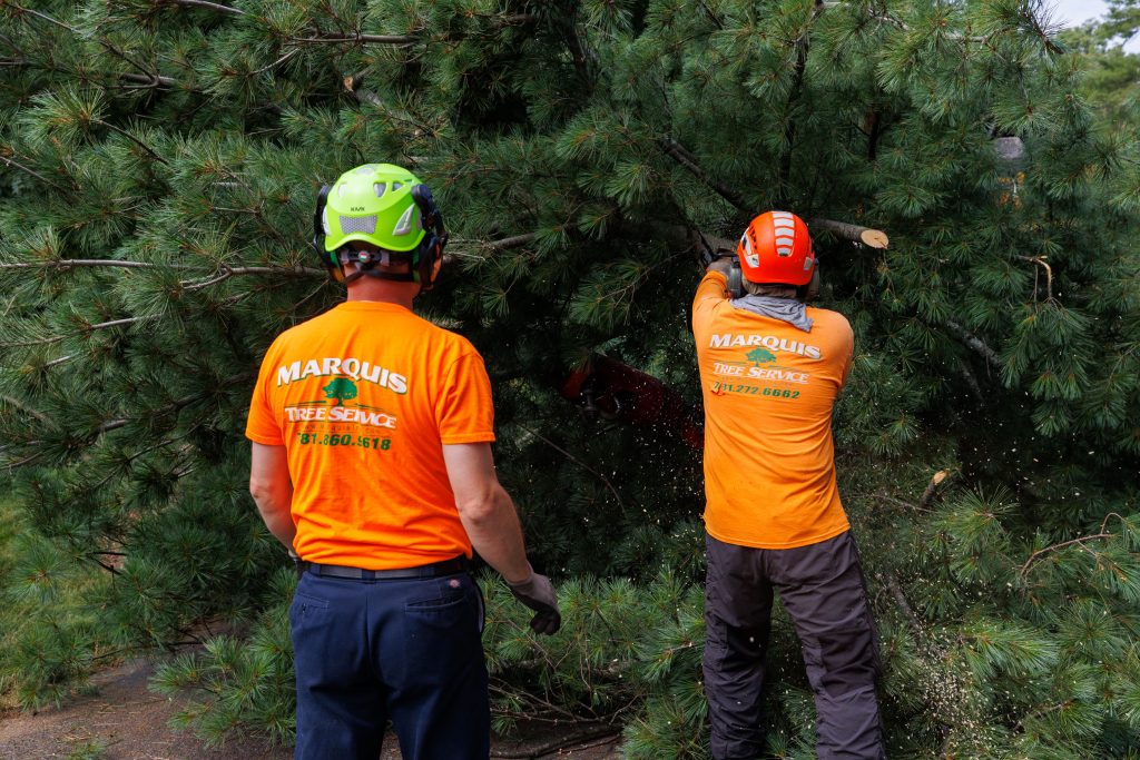 Team members removing pieces from ground