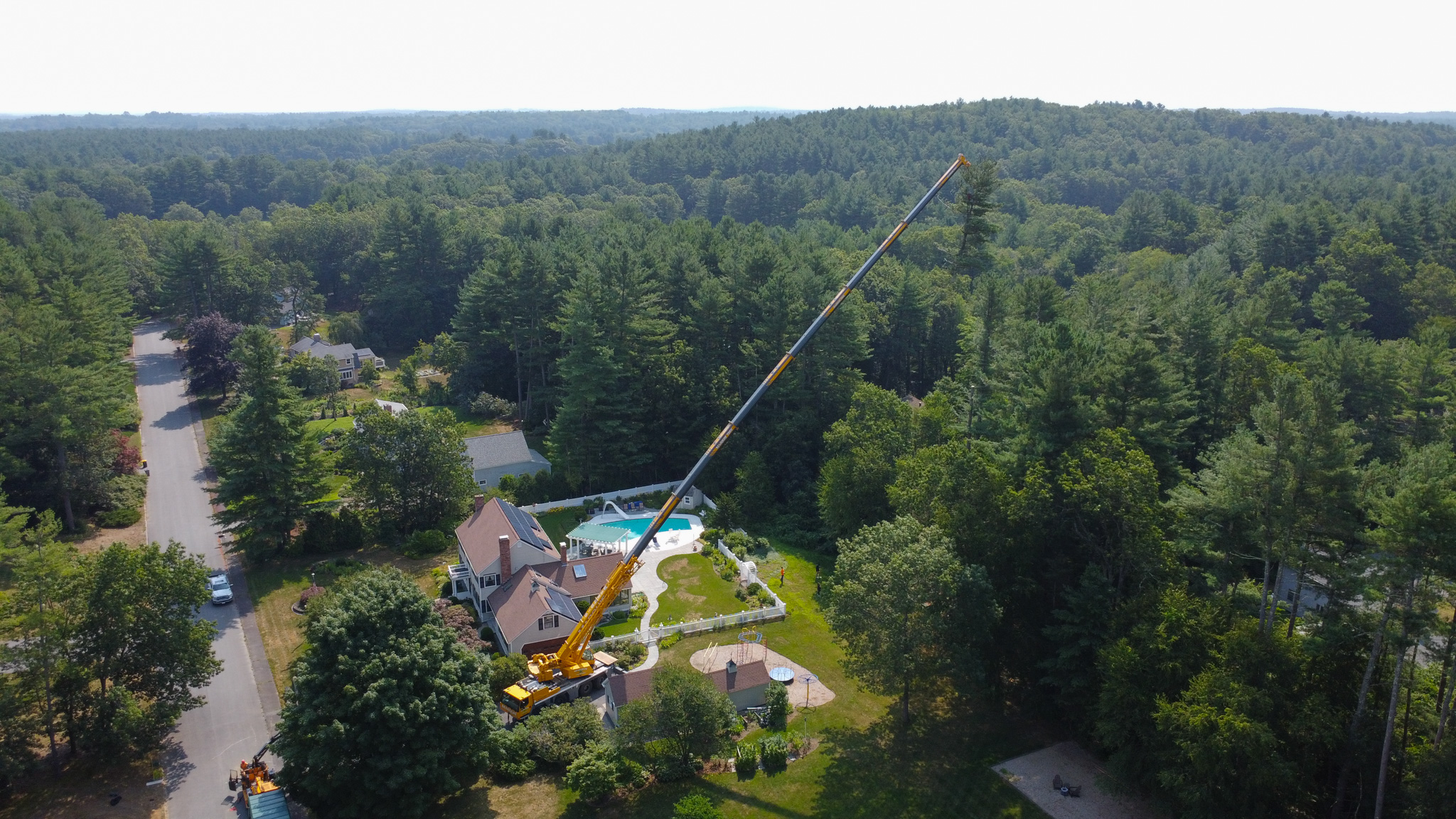 Crane Tree Removal Services | Marquis Tree Service
