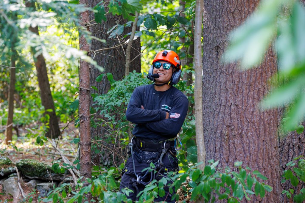 Marquis employee after tree removal