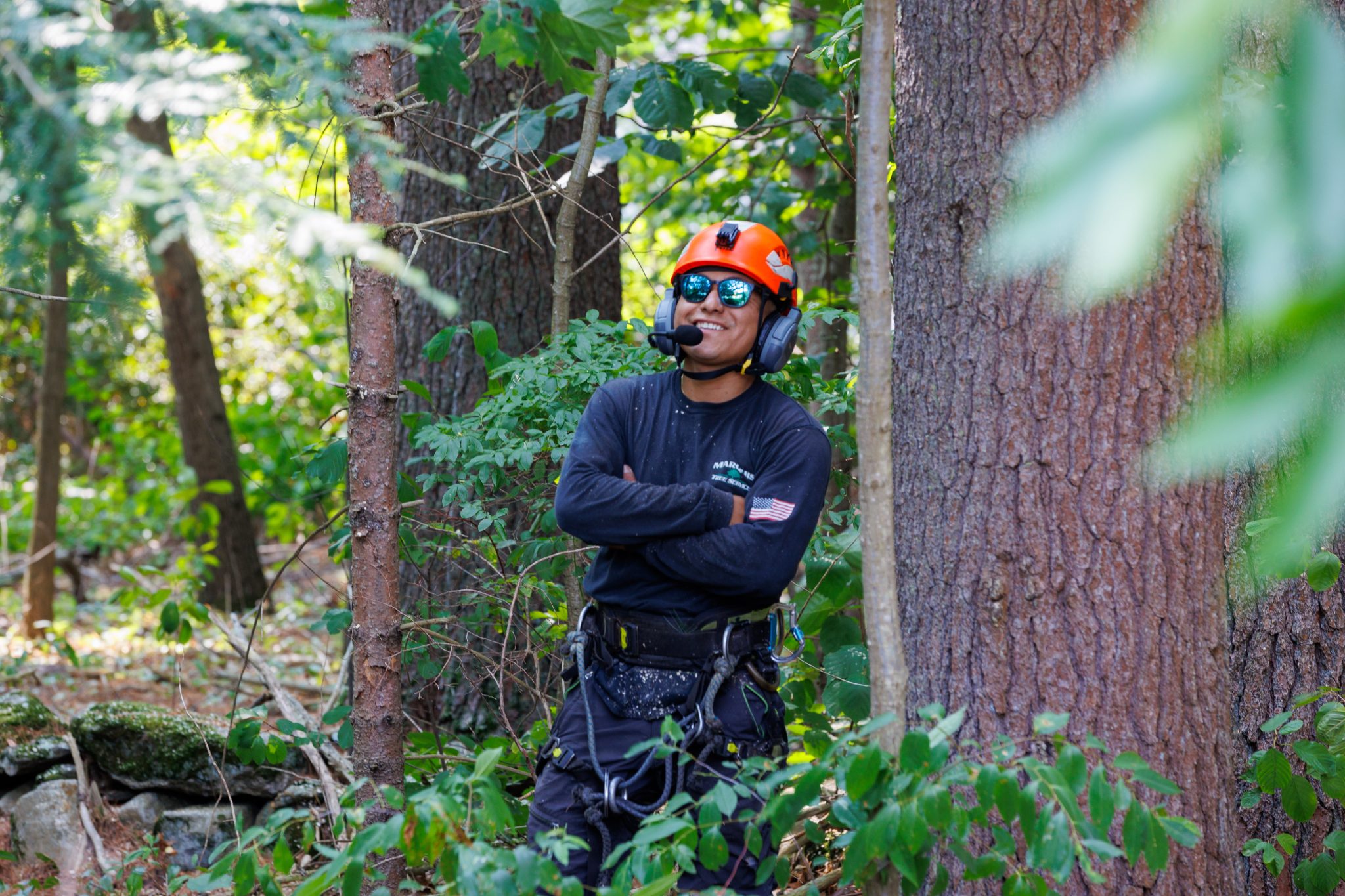 Tree Services in Woburn, MA | Marquis Tree Service