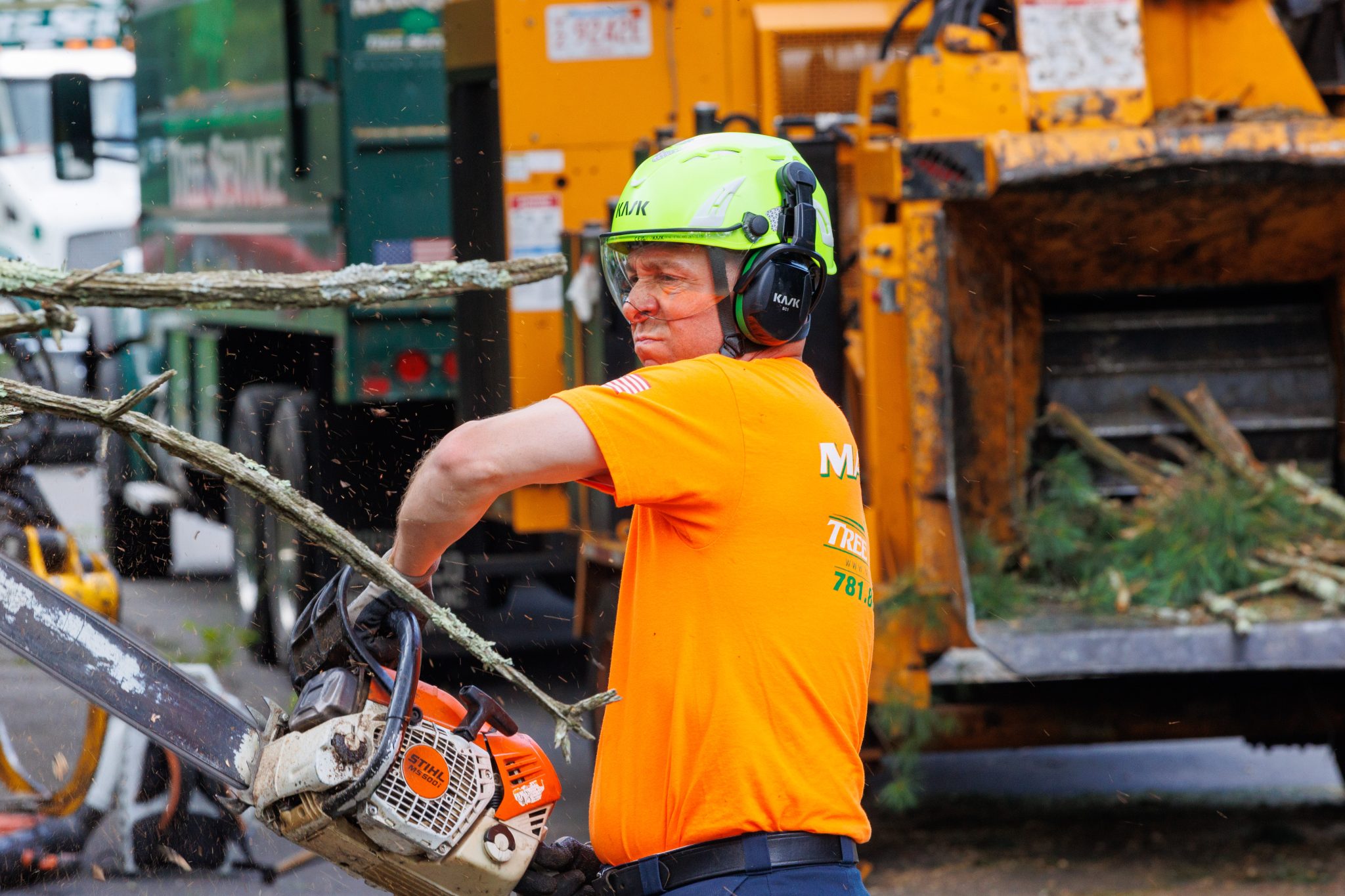 Land Clearing Services in Billerica | Marquis Tree Service