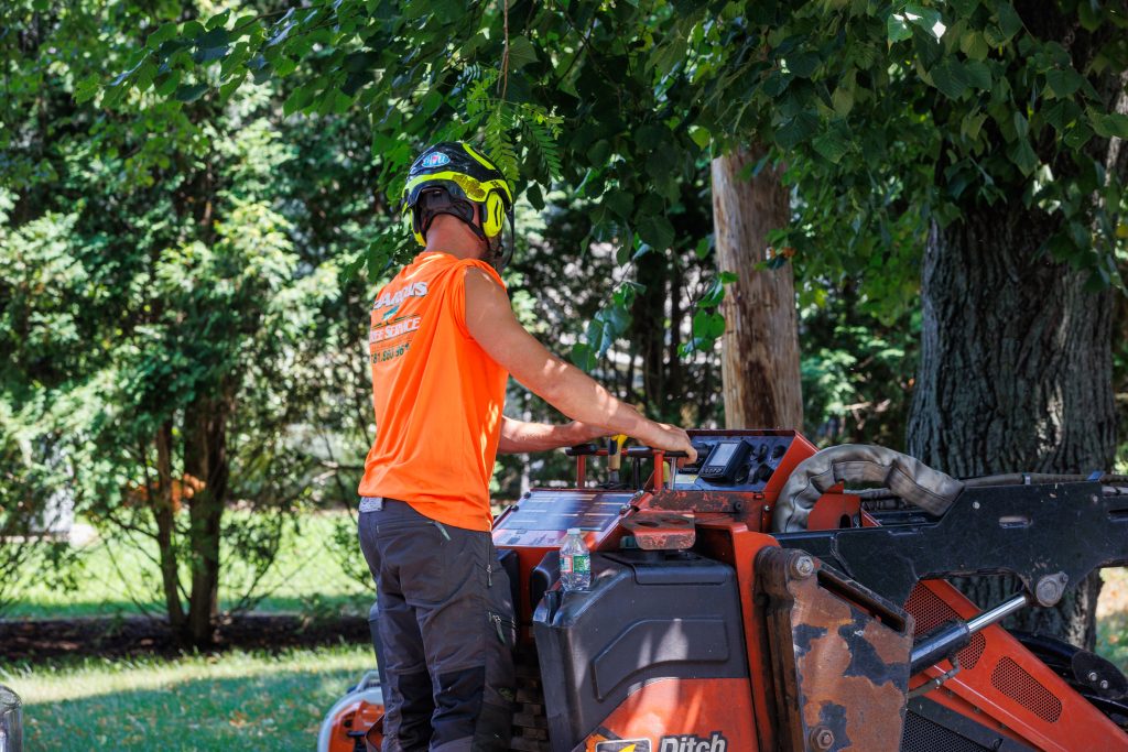 Team member operating equipment for tree service