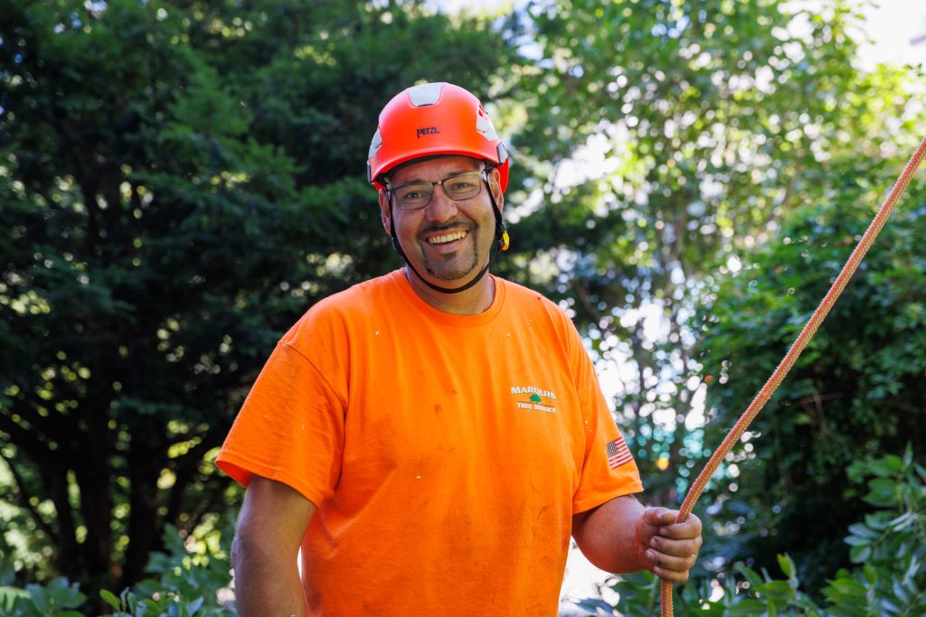 team member prepping for tree service