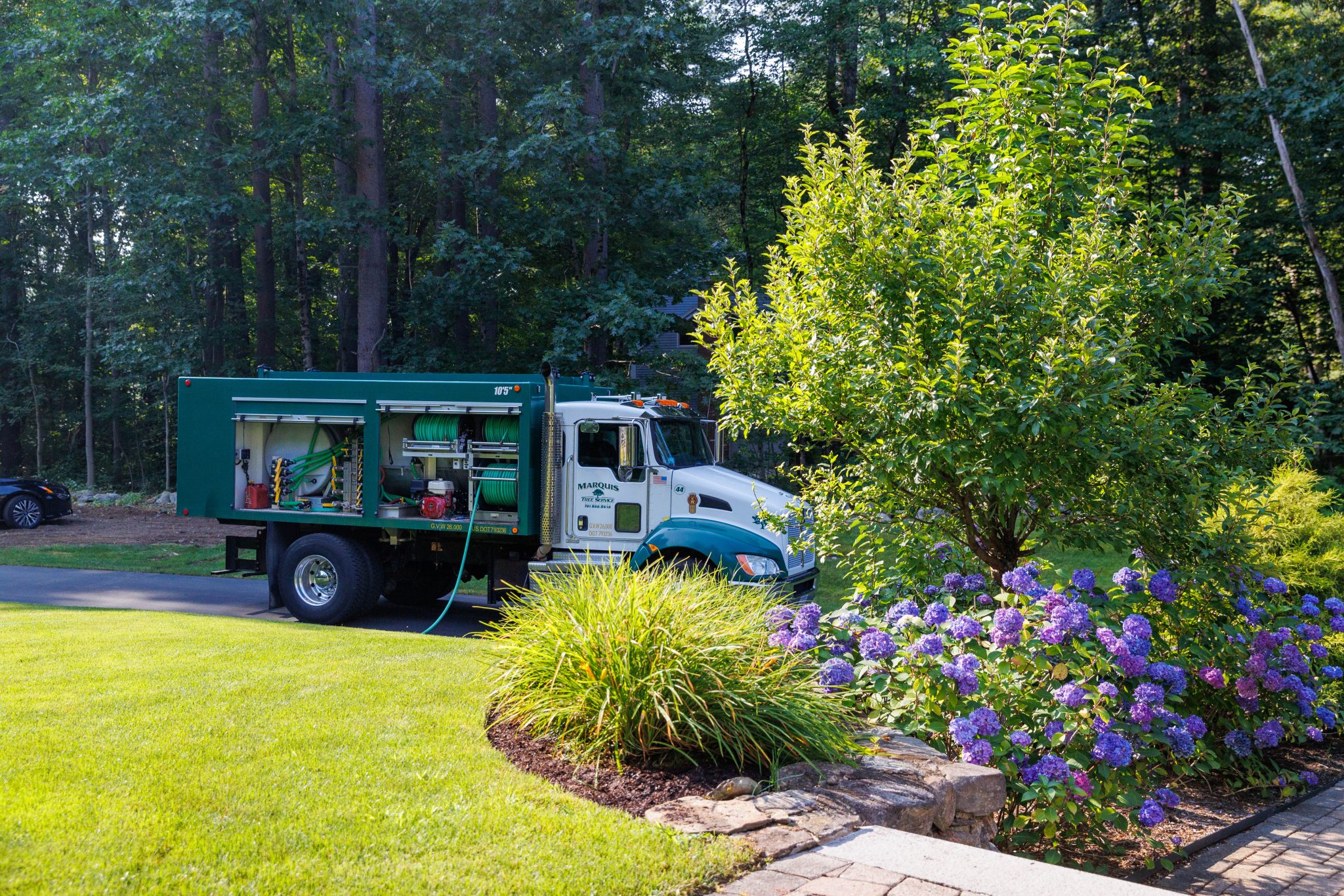 Brookline Land Clearing Experts | Marquis Tree Service
