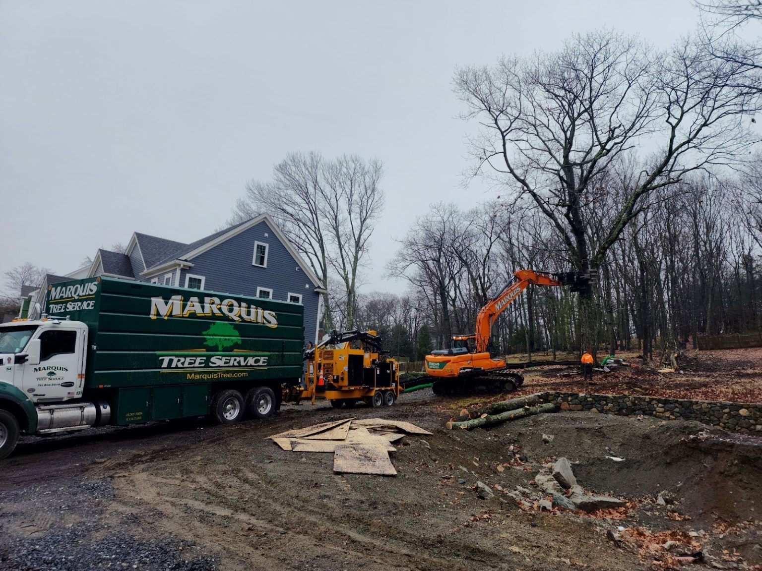 Professional Land Clearing | Marquis Tree Service