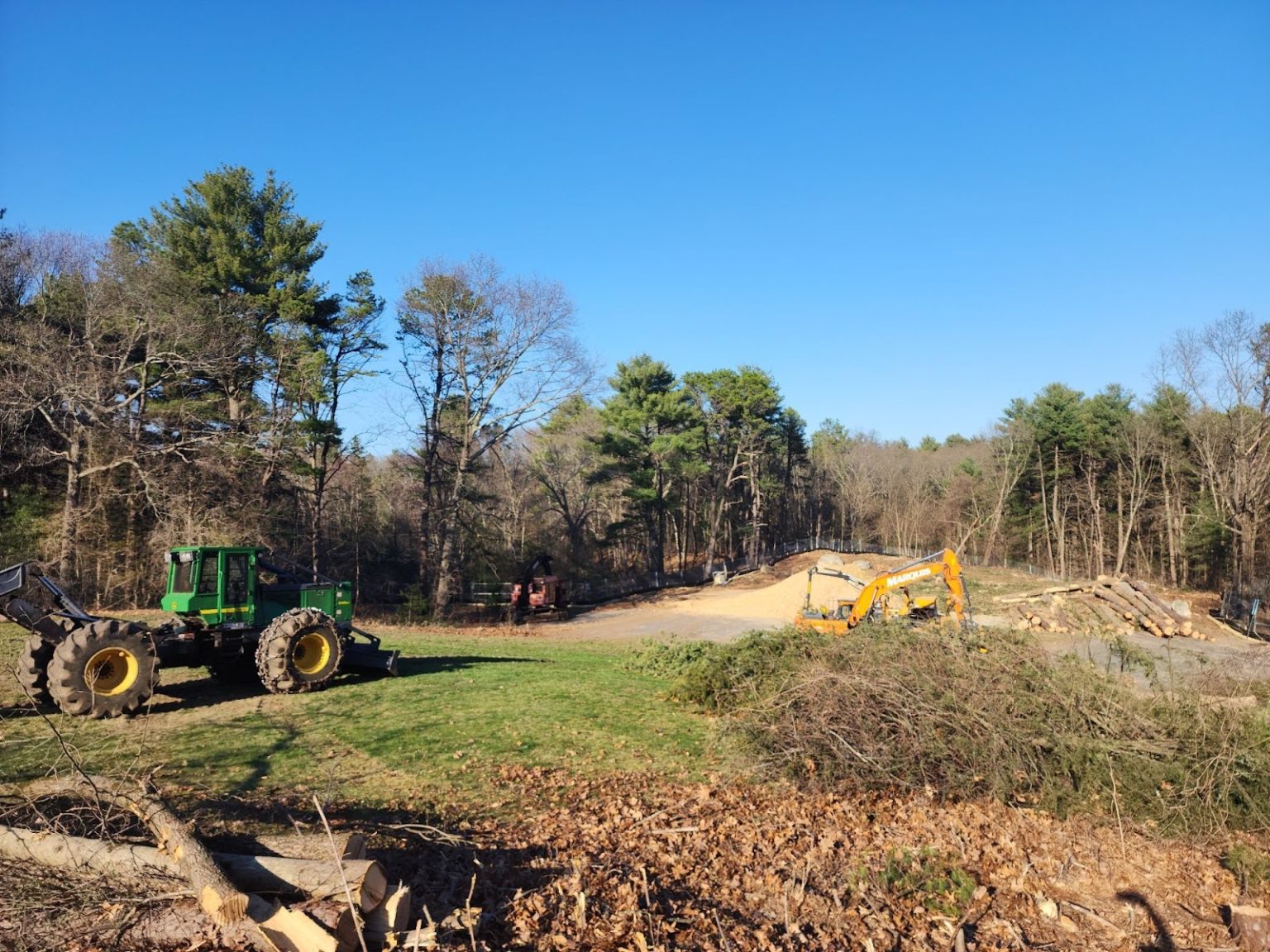 Professional Land Clearing | Marquis Tree Service