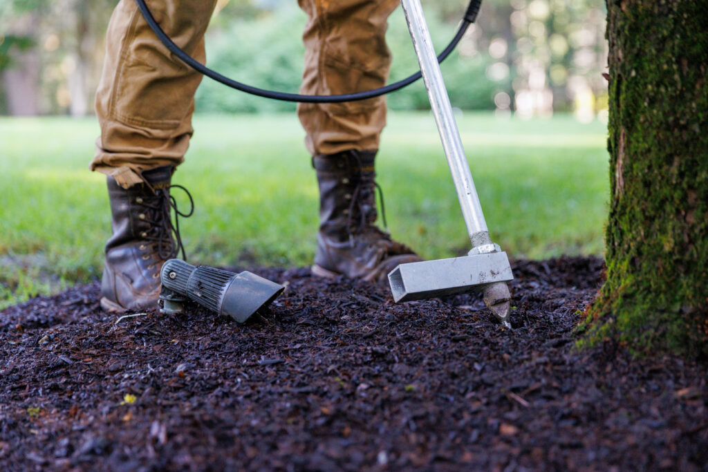 deep root fertilization trees