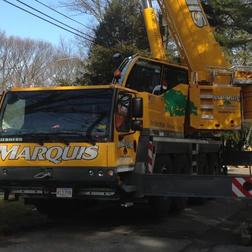 Crane Assisted Tree Removal | Marquis Tree Service MA